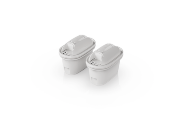 Br Tank 55qt Water Filter Replacements (Pack of 2) - Leisure Helper