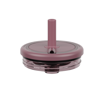 Era Replacement Lid 20oz | Rose Taupe - Seasonal Support